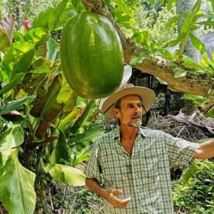 Puerto Plata: Taino-Tal und dominikanisches Geschmackserlebnis