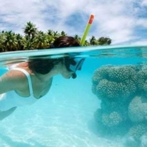 Catalina Island : Excursion d'une journée - Meilleure plongée avec tuba !