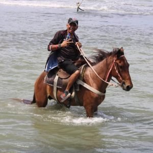 Reiten am Strand und in der Natur