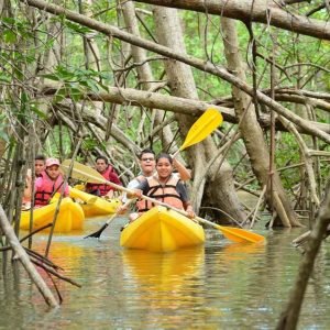 Los Haitises All One: Kajakfahren, Wandern, Boot und Schwimmen