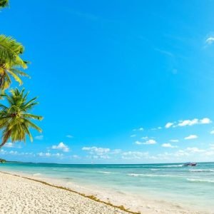 Samana: El Limon + Cayo Levantado s obědem v ceně