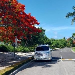 Private Transfer from Punta Cana Airport to Live Aqua