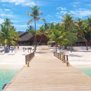 Visite de l'île de Catalina avec plongée en apnée et déjeuner