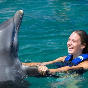 Punta Cana: Dolphin Explorer Swims and Interactions