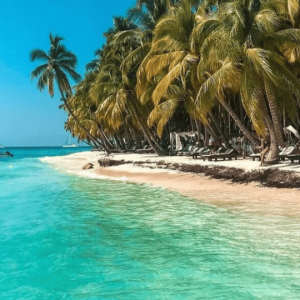 Journée complète sur l'île de Saona avec prise en charge à votre hôtel Punta Cana