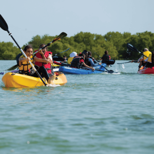 Sabana de la Mar : Randonnée guidée et kayak à Los Haitises
