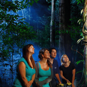 Los Haitises Nachtwanderung im Regenwald