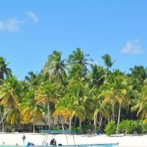 Ganztägige Saona-Insel-Tour mit dem Schnellboot