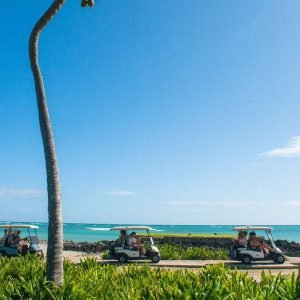 Trova Eco Tour