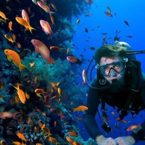 Plongée sous-marine à Sosua Cabarete