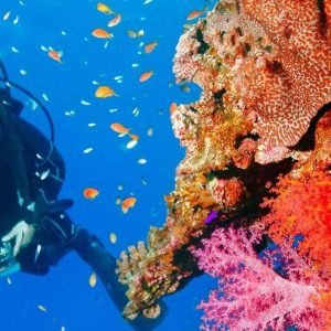 Punta Cana 40ft Sporttauchen Abenteuer