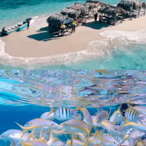 Cayo Arena : Paradise Island & Magroves Tour Privé