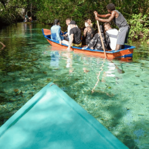 Samana: Celodenní prohlídka Samana Amazing Punta Cana
