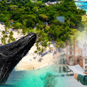 Samana: Samana: prohlídka města + pozorování velryb + Cayo Levantado